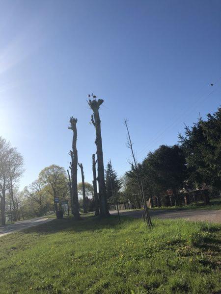 Villa Erika Wicko  Esterno foto